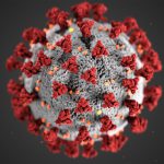 Coronavirus: bollettino del 15 dicembre 2020